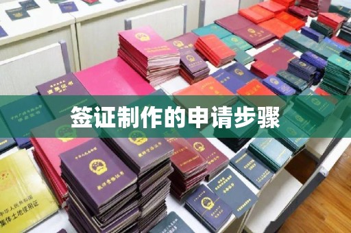 玉井签证制作的申请步骤