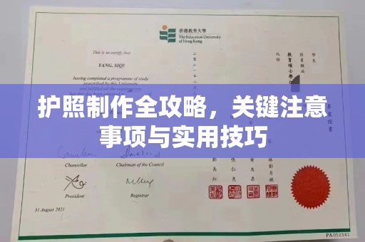 玉井护照制作全攻略，关键注意事项与实用技巧