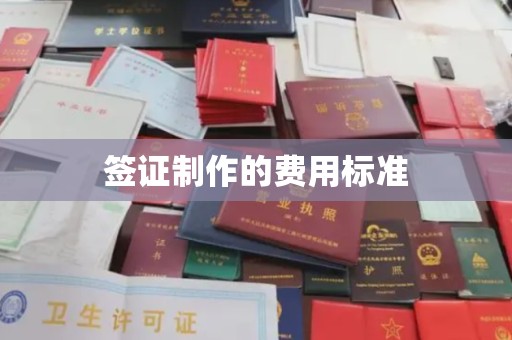 玉井签证制作的费用标准