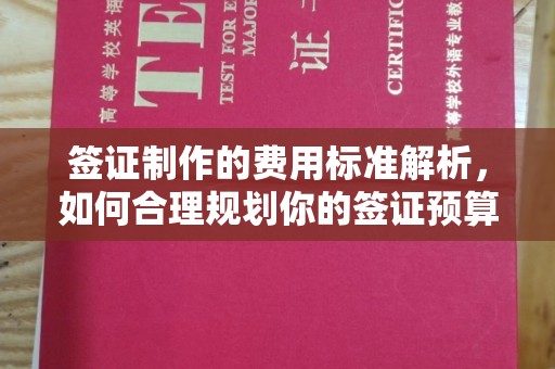 玉井签证制作的费用标准解析，如何合理规划你的签证预算