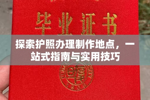 玉井探索护照办理制作地点，一站式指南与实用技巧
