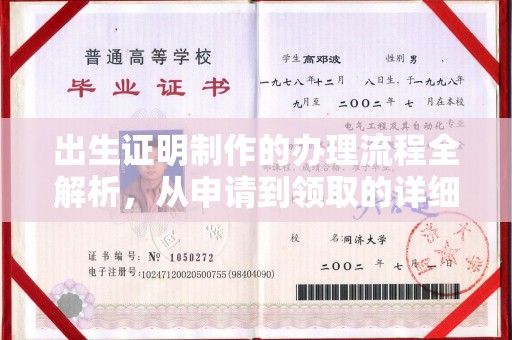 玉井出生证明制作的办理流程全解析，从申请到领取的详细指南