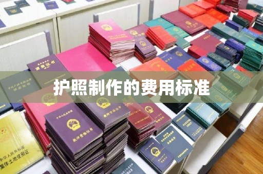 玉井护照制作的费用标准