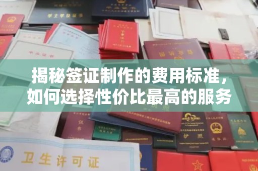 玉井揭秘签证制作的费用标准，如何选择性价比最高的服务？