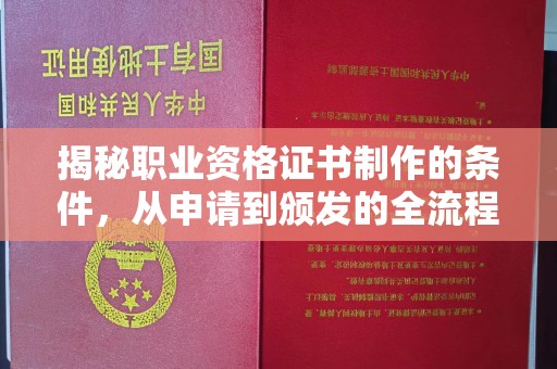 玉井揭秘职业资格证书制作的条件，从申请到颁发的全流程解析