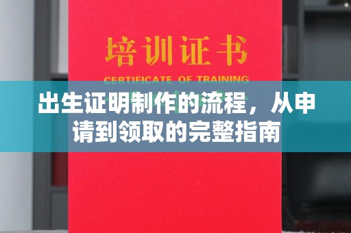 玉井出生证明制作的流程，从申请到领取的完整指南
