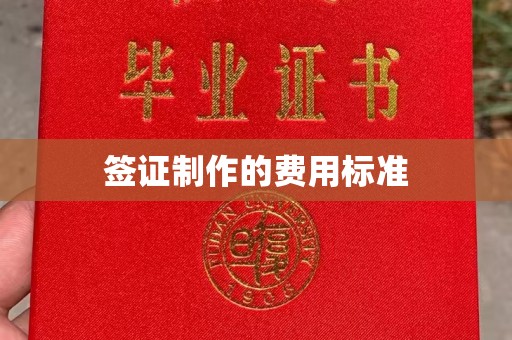 玉井签证制作的费用标准