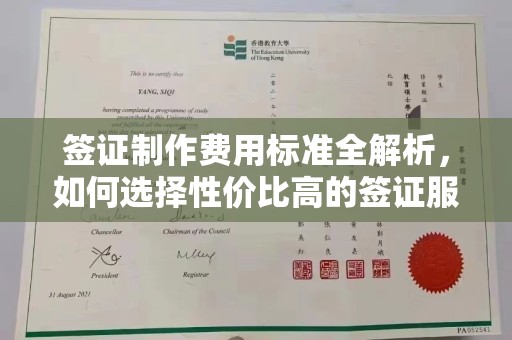 玉井签证制作费用标准全解析，如何选择性价比高的签证服务？