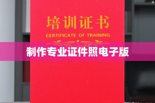 玉井制作专业证件照电子版