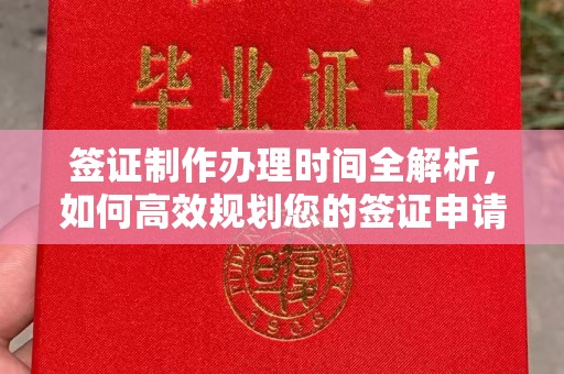 玉井签证制作办理时间全解析，如何高效规划您的签证申请流程