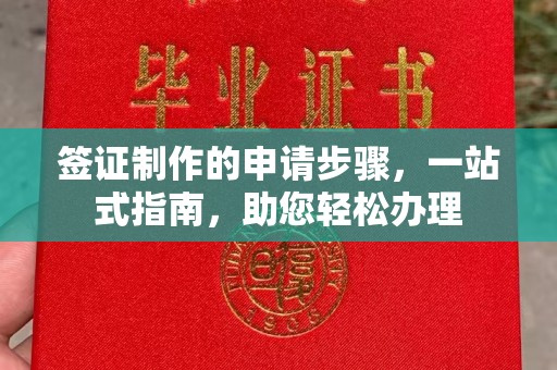 玉井签证制作的申请步骤，一站式指南，助您轻松办理